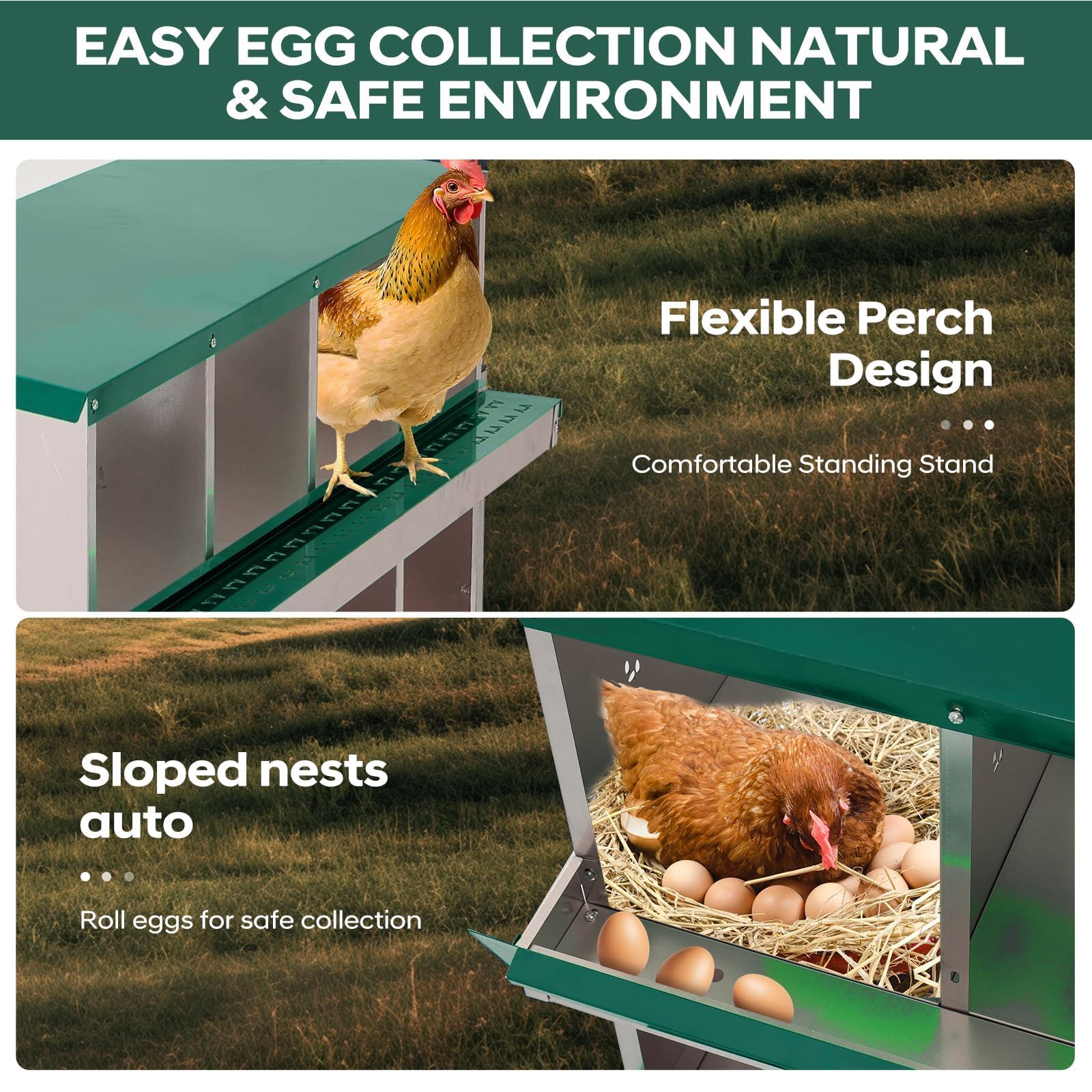 Interior amplio y privado del ponedero Garvee de 8 compartimentos para gallinas