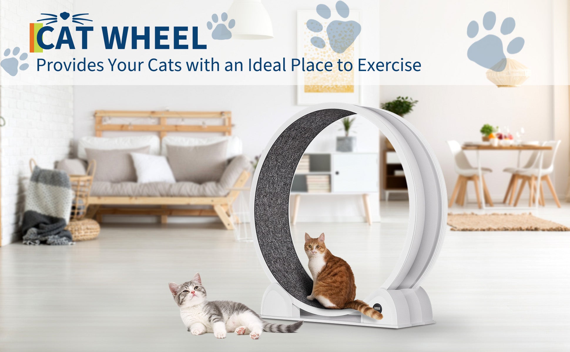 Rueda de ejercicio para gatos Garvee en color blanco