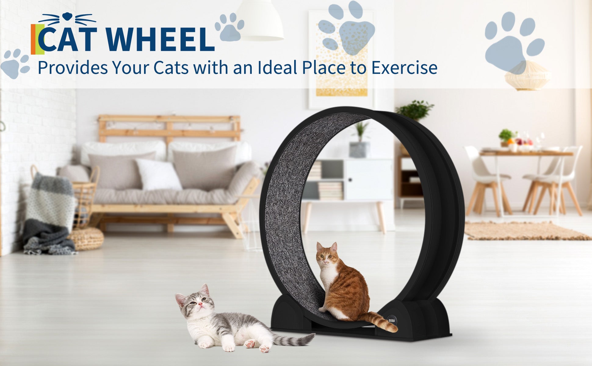 Rueda de ejercicio para gatos Garvee de 114 cm de diámetro en color negro con podómetro digital